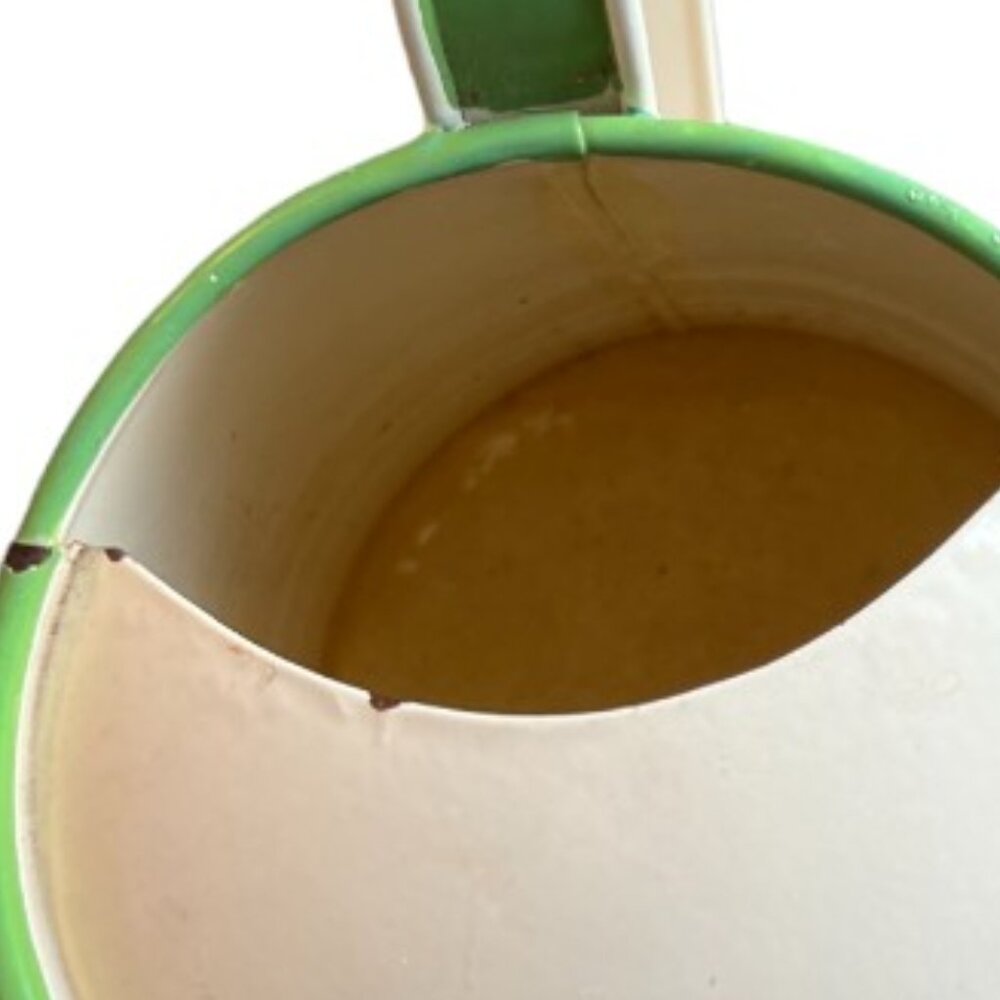 Vtg Enameled Steel Watering Can Bluebird Garden Handpainted Double-Sided India - Picture 9 of 16